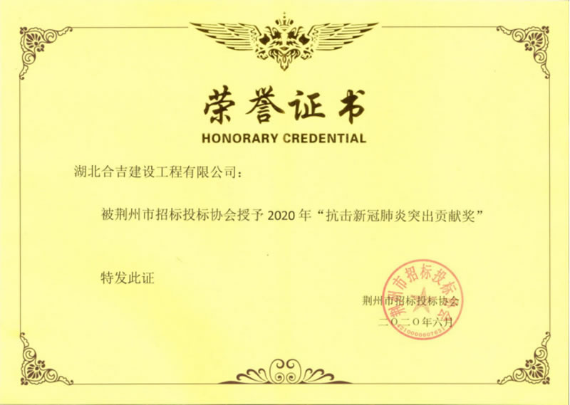 2020年“抗击新冠肺炎突出贡献奖”